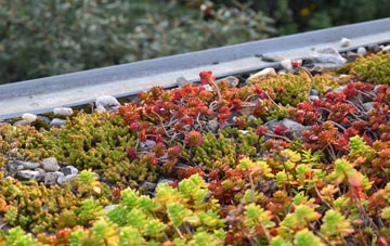 the cost of Gulval green roof installation