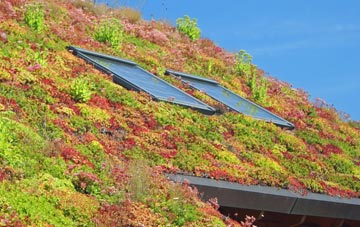 Gulval living roof systems